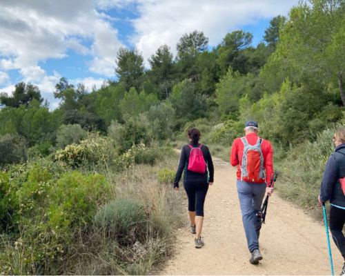 Caminata por la naturaleza